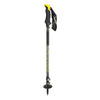 Salewa Carbonium Ascent Poles