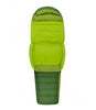 Sea To Summit Ascent ACIII Down Sleeping Bag