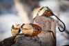 JULBO CHAM LAITON GLASSES (SP3CF, Brass/Havana)