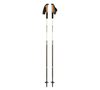 Black Diamond Alpine FLZ Pole